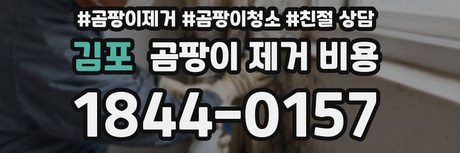 김포 곰팡이 제거 비용