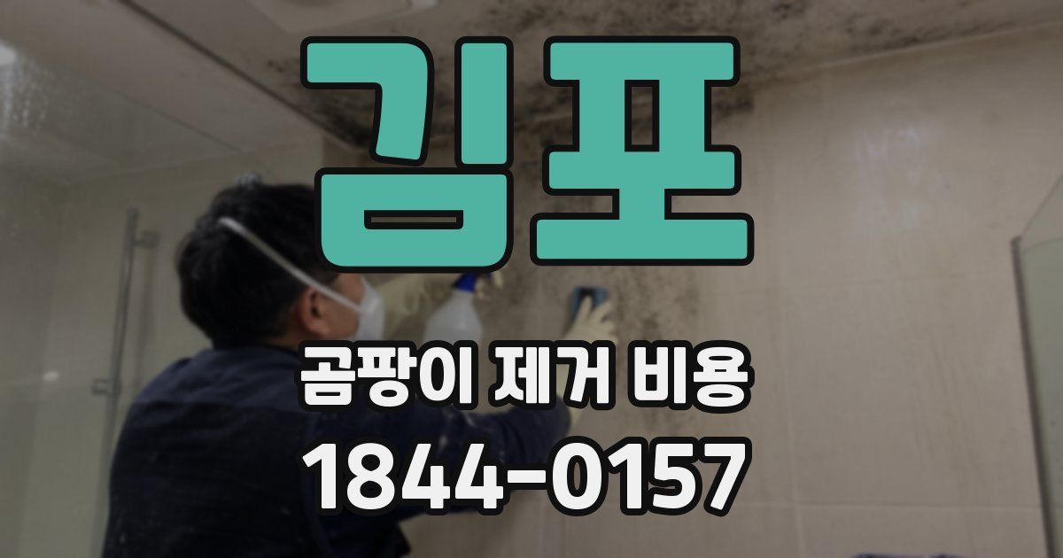 김포 곰팡이 제거 비용