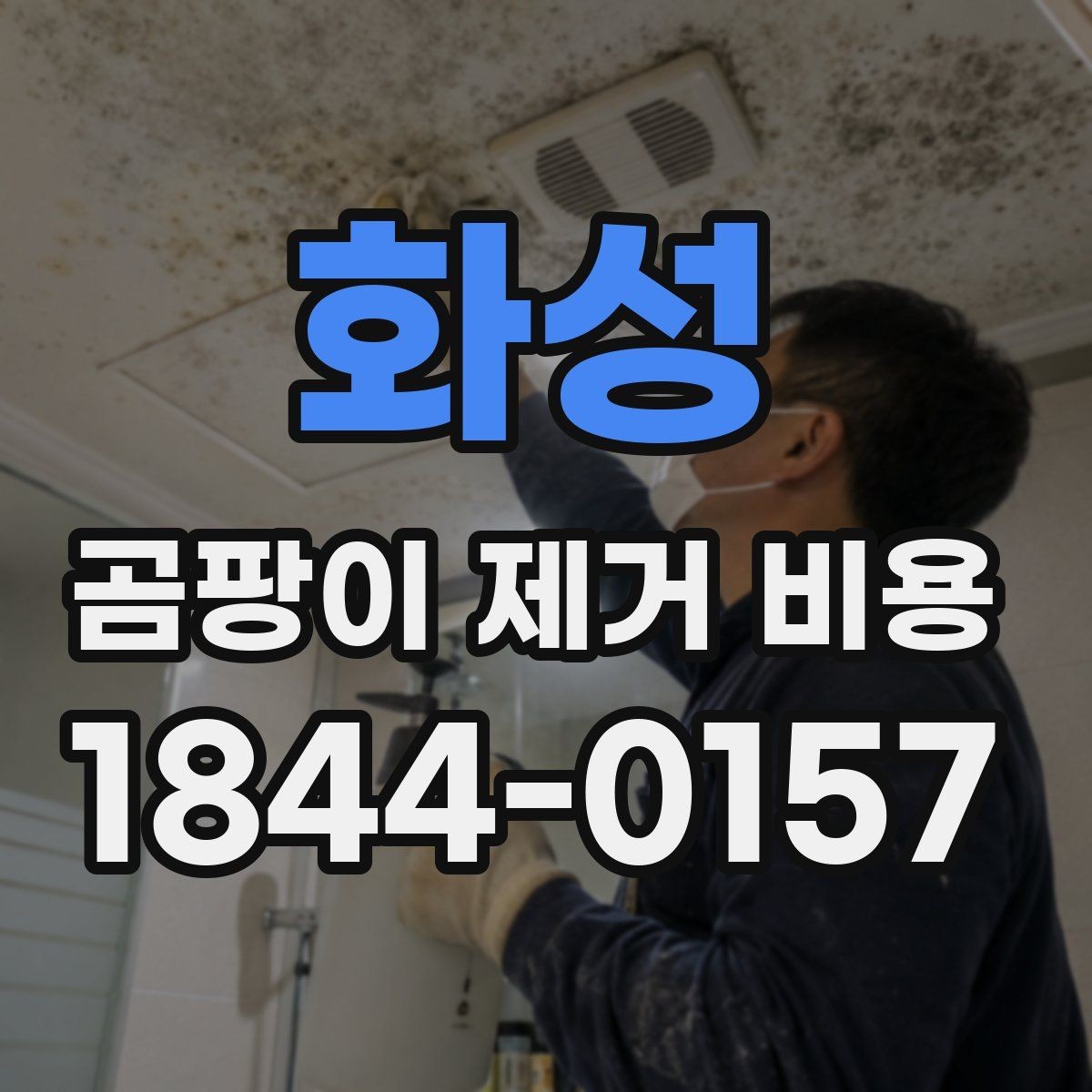 화성 곰팡이 제거 비용 벽면 상태에 따라 달라지는 공정
