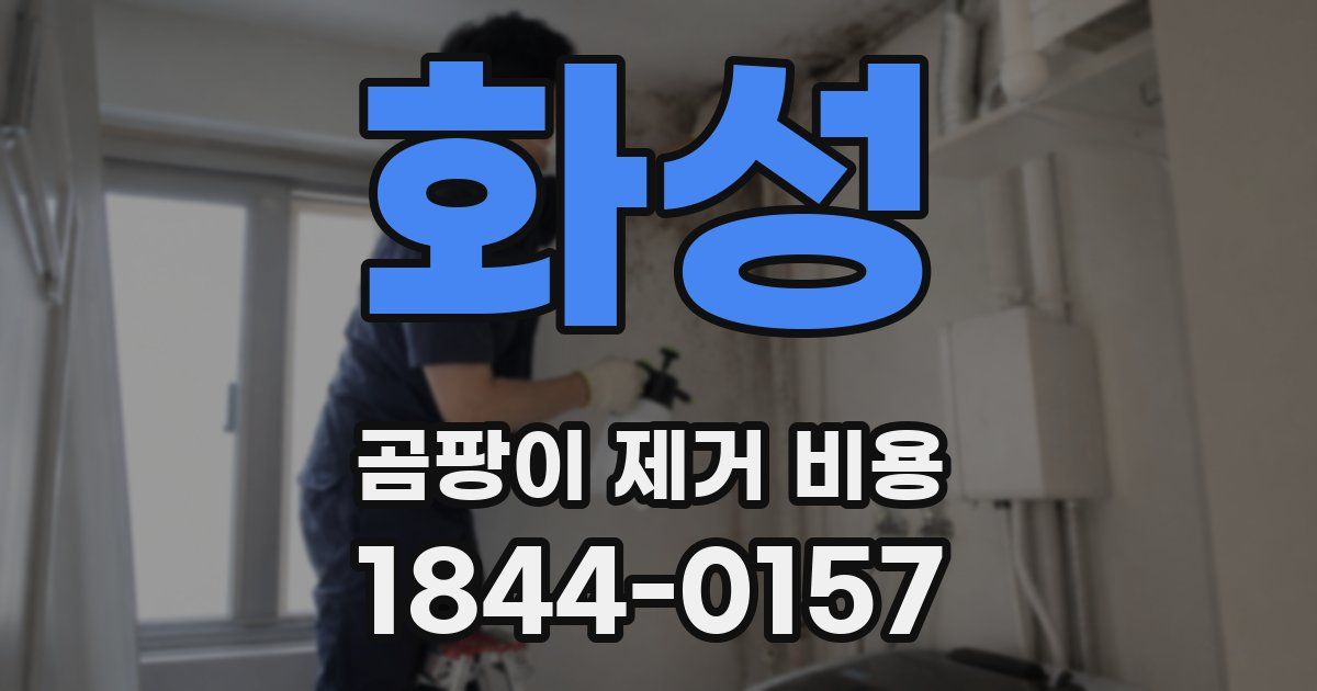 화성 곰팡이 제거 비용