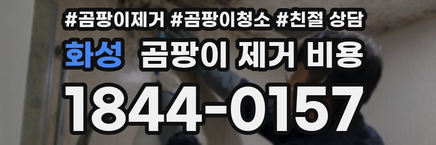 화성 곰팡이 제거 비용