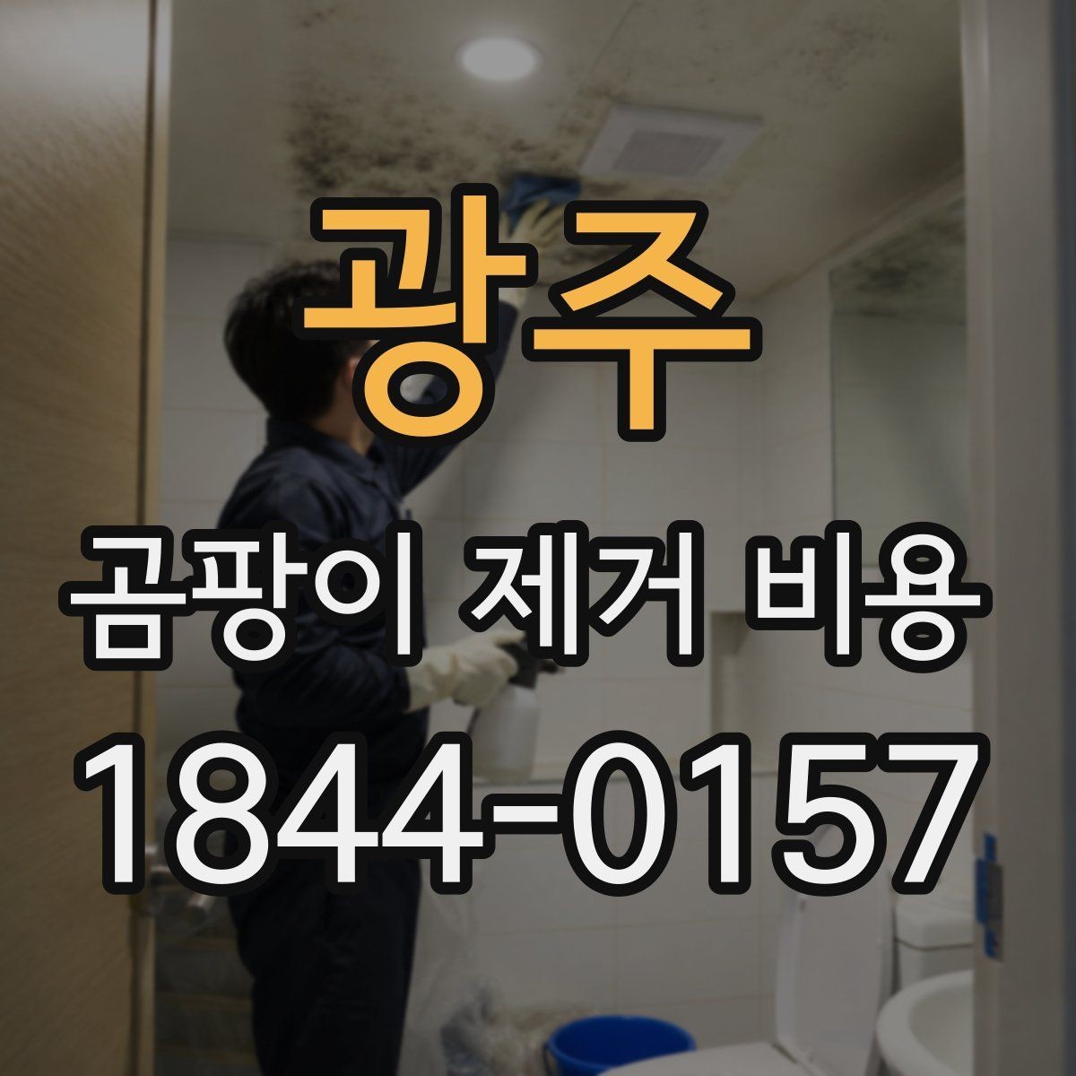광주 곰팡이 제거 비용 책정 전에 보는 오염 정도