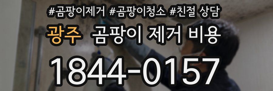 광주 곰팡이 제거 비용