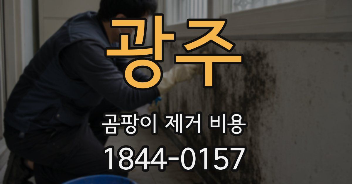 광주 곰팡이 제거 비용