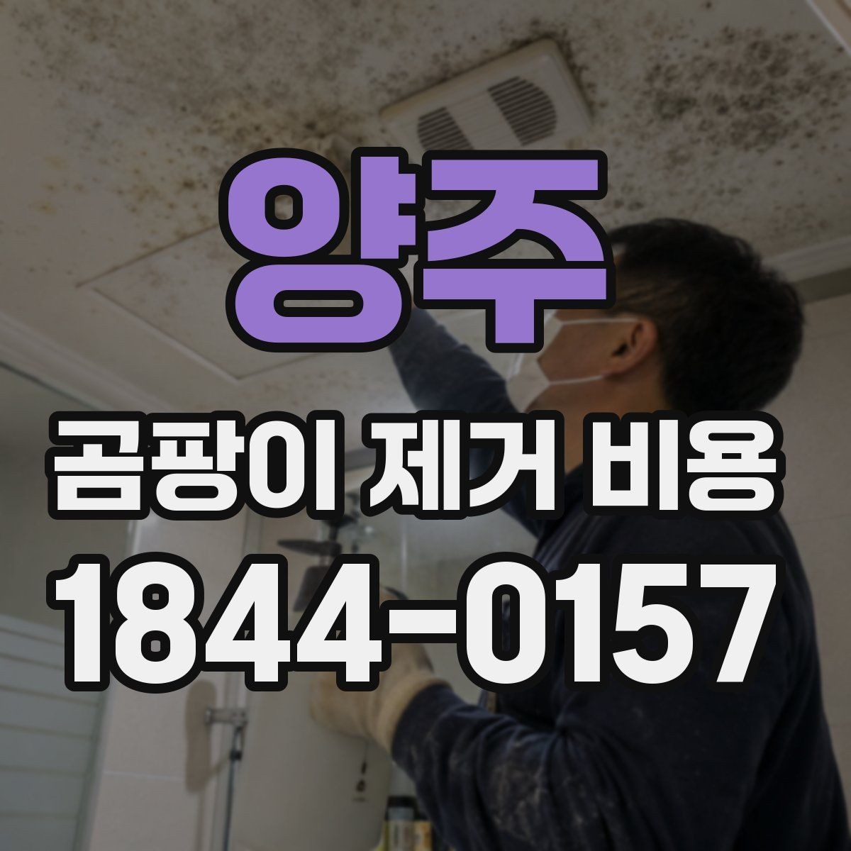 양주 곰팡이 제거 비용 견적 문의 전에 정리해야 할 내용