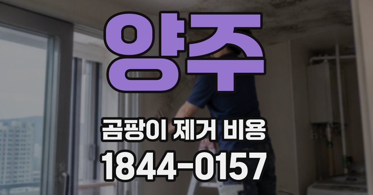 양주 곰팡이 제거 비용