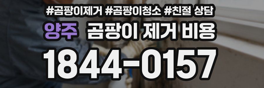 양주 곰팡이 제거 비용
