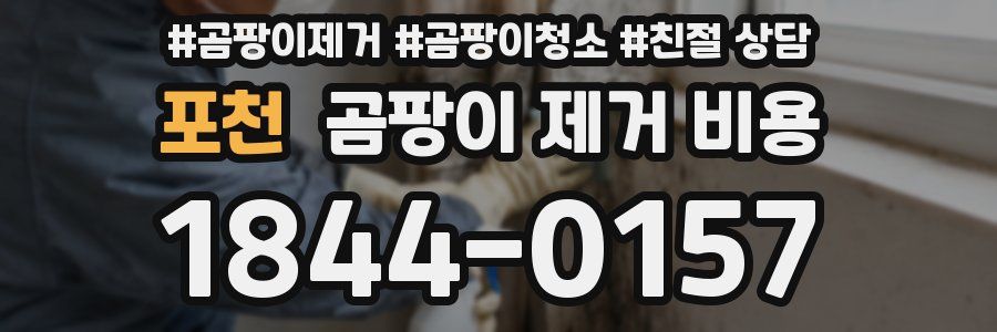 포천 곰팡이 제거 비용