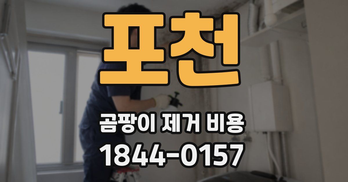 포천 곰팡이 제거 비용