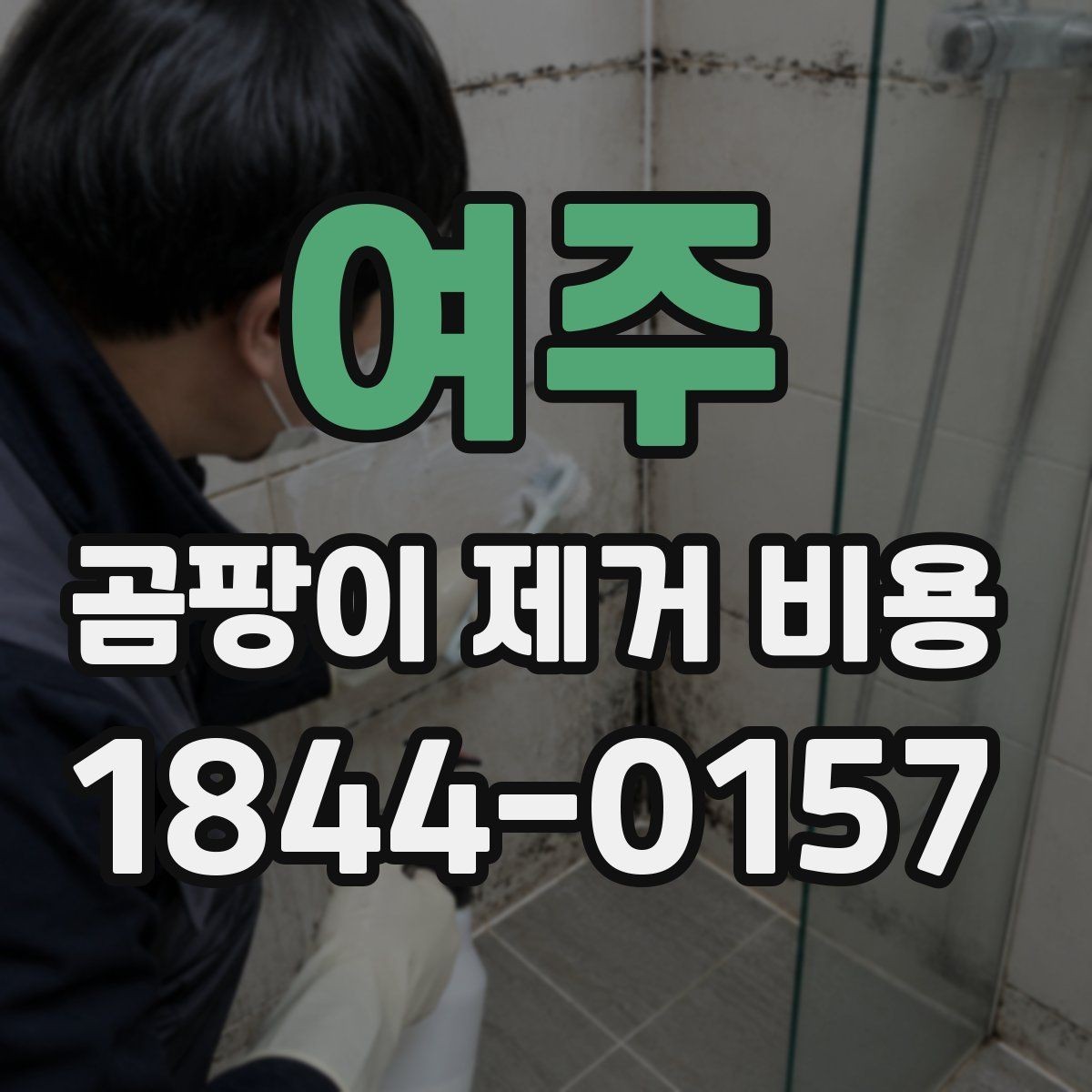 여주 곰팡이 제거 비용 계절별로 달라질 수 있는 요소
