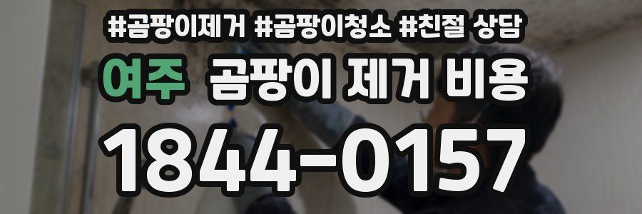 여주 곰팡이 제거 비용