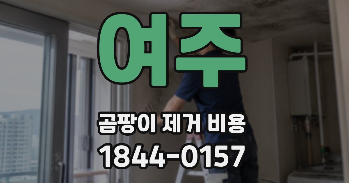 여주 곰팡이 제거 비용
