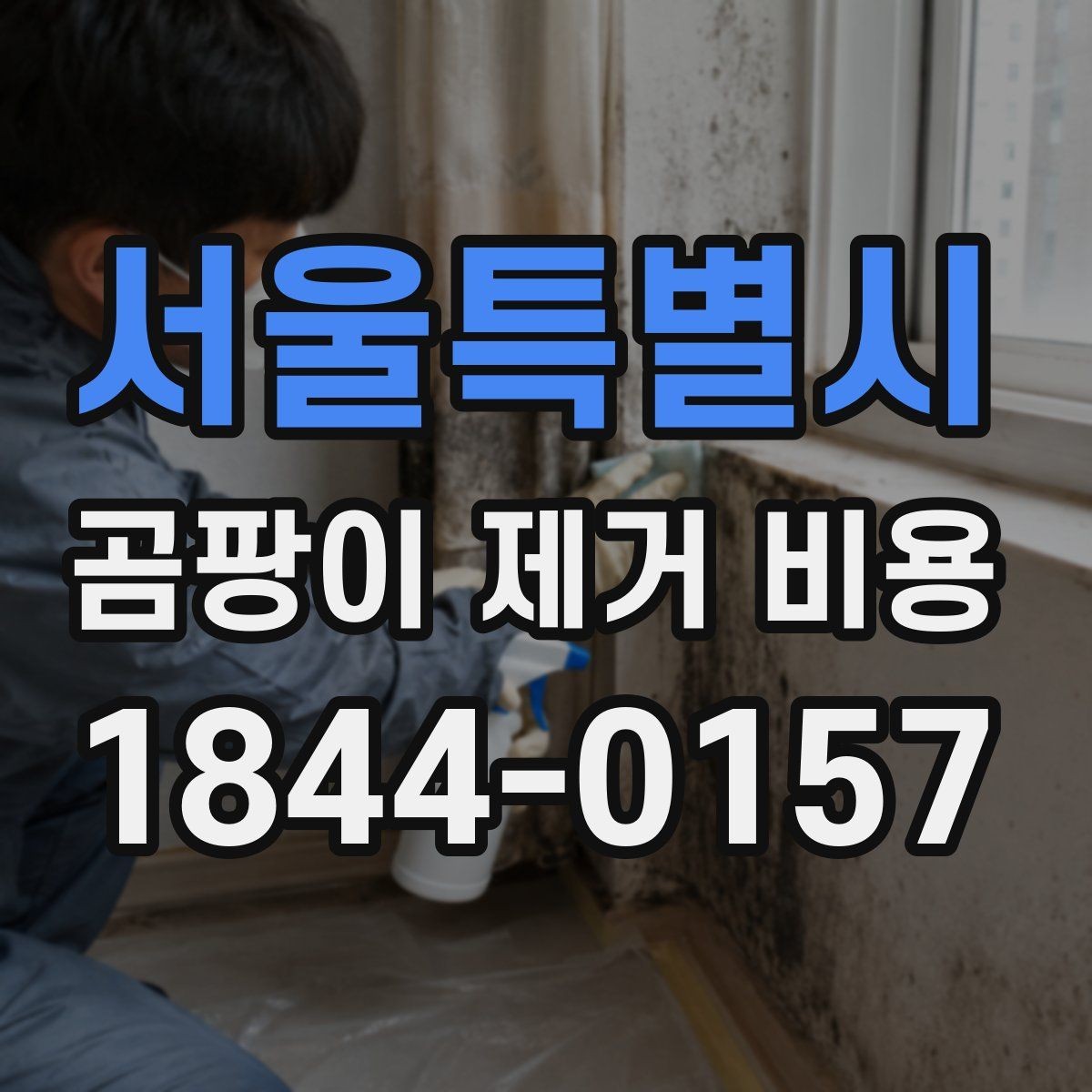 서울특별시 곰팡이 제거 비용 현장별 맞춤 견적을 받아보는 방법
