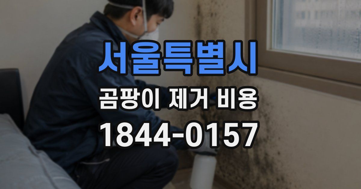 서울특별시 곰팡이 제거 비용