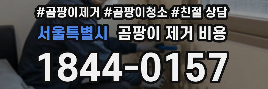 서울특별시 곰팡이 제거 비용