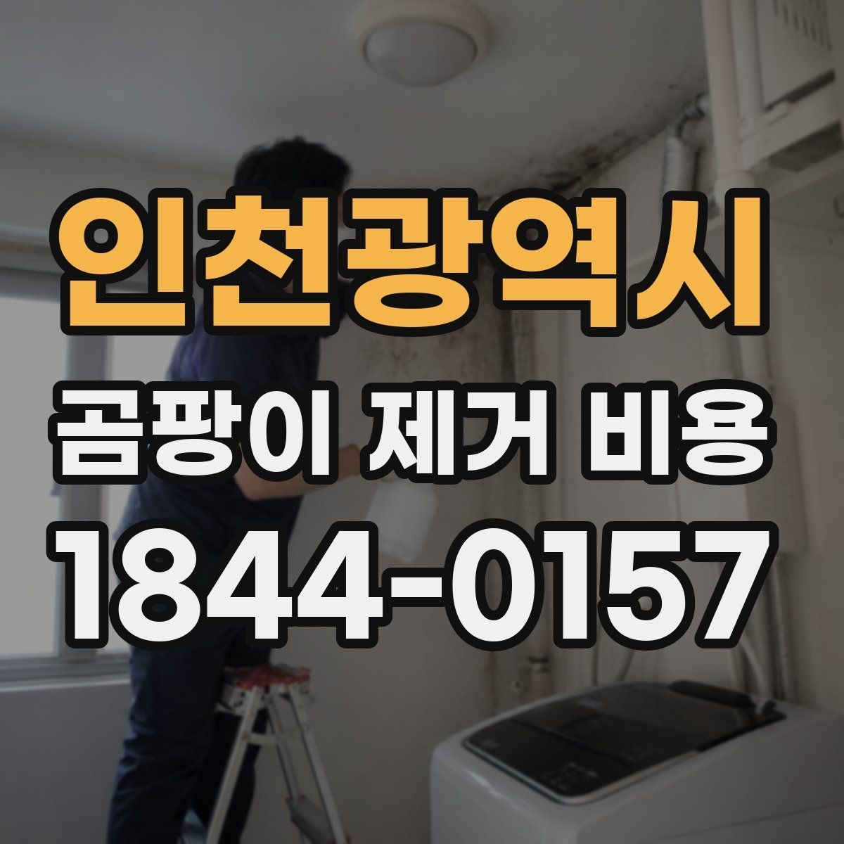 인천광역시 곰팡이 제거 비용 지역별 차이와 확인할 점