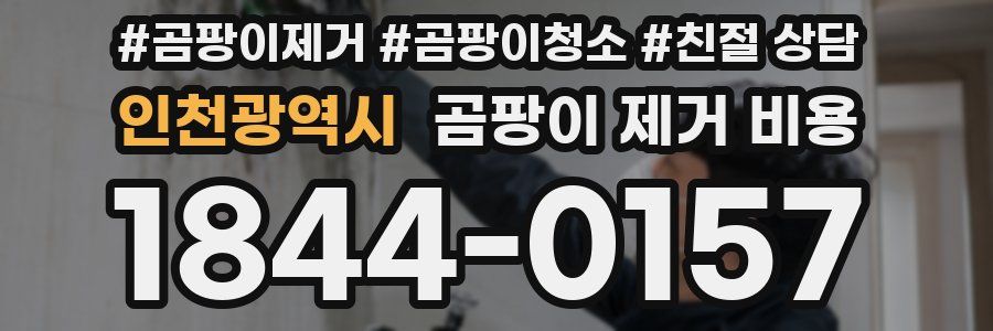 인천광역시 곰팡이 제거 비용
