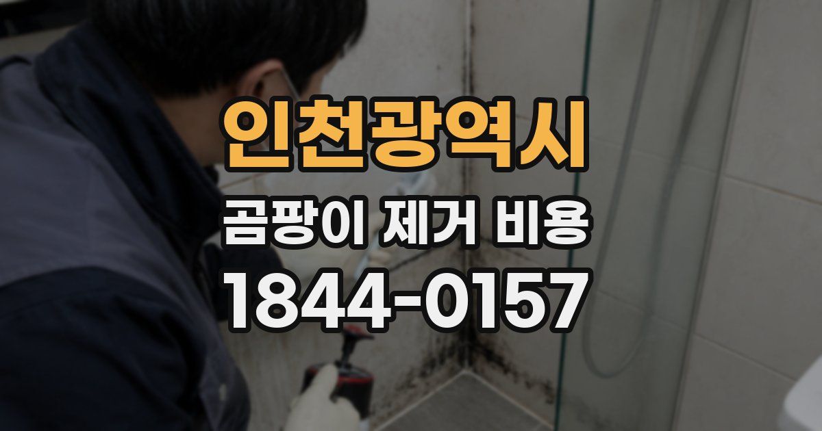 인천광역시 곰팡이 제거 비용