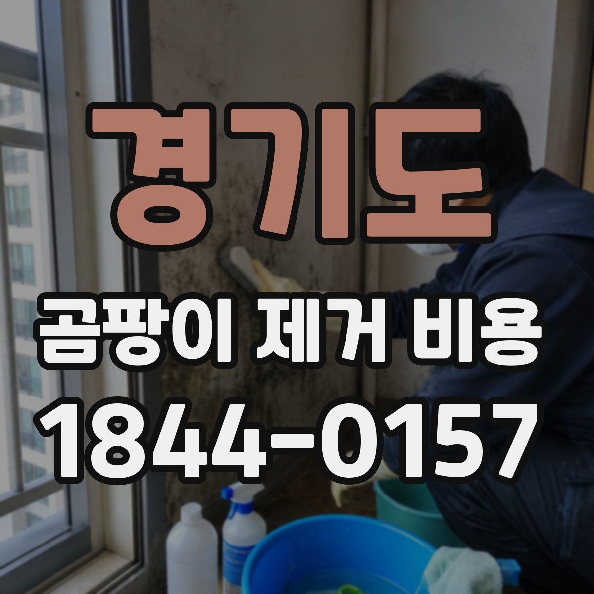 경기도 곰팡이 제거 비용 알아볼 때 업체 후기 보는 법