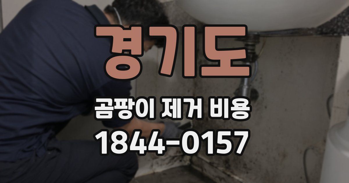 경기도 곰팡이 제거 비용