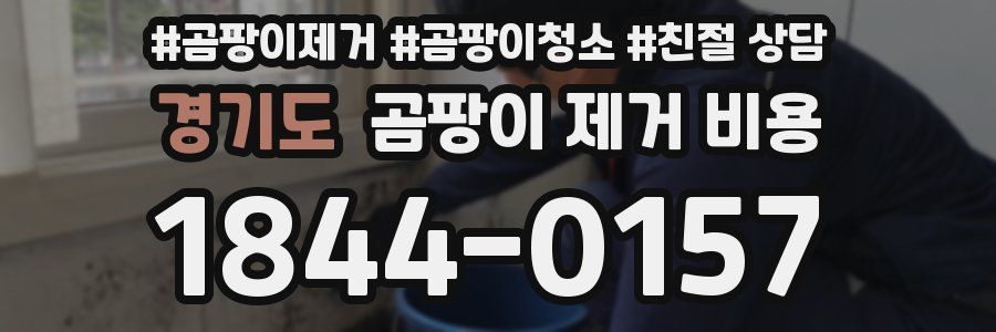 경기도 곰팡이 제거 비용