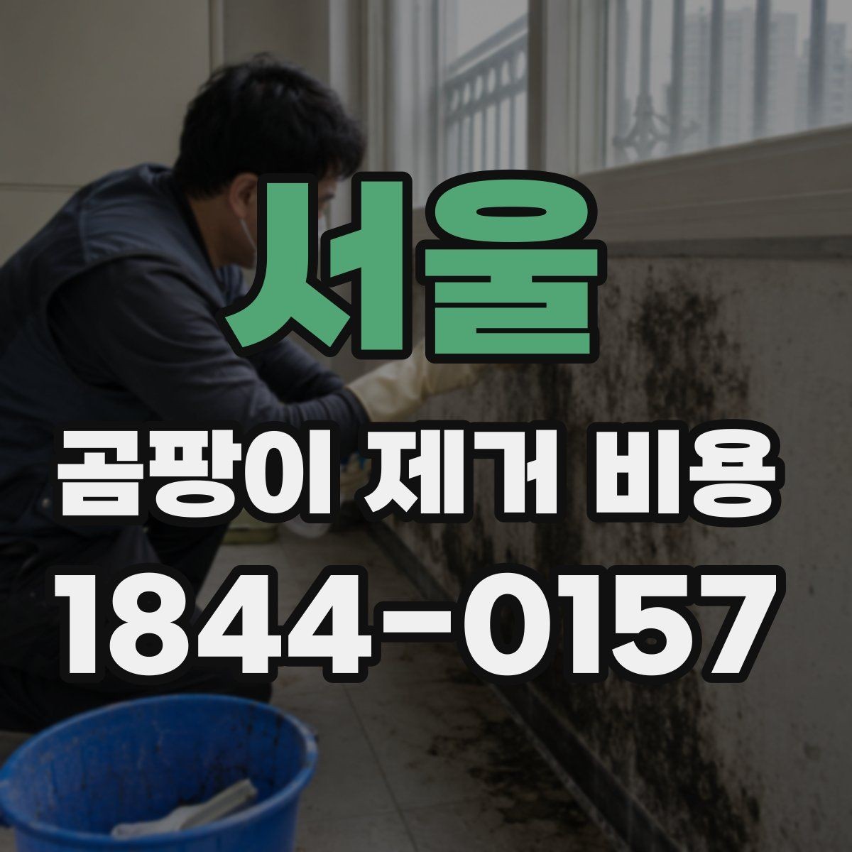 서울 곰팡이 제거 비용 벽지 뒤 곰팡이 확인이 필요한 이유