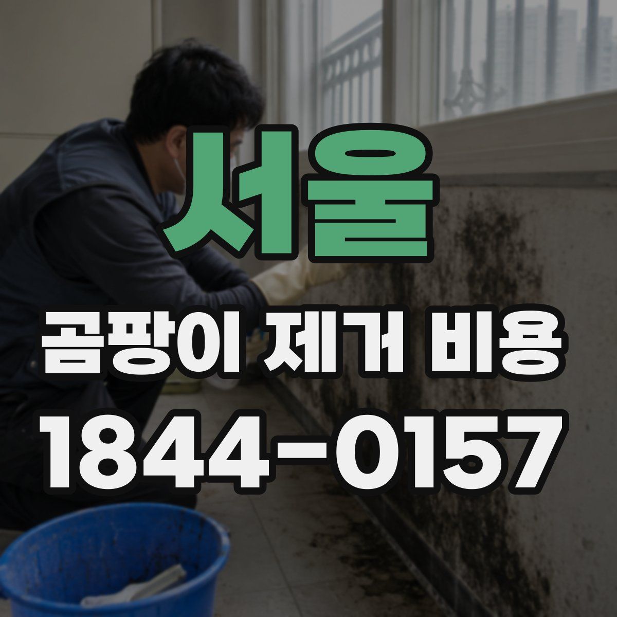 서울 곰팡이 제거 비용