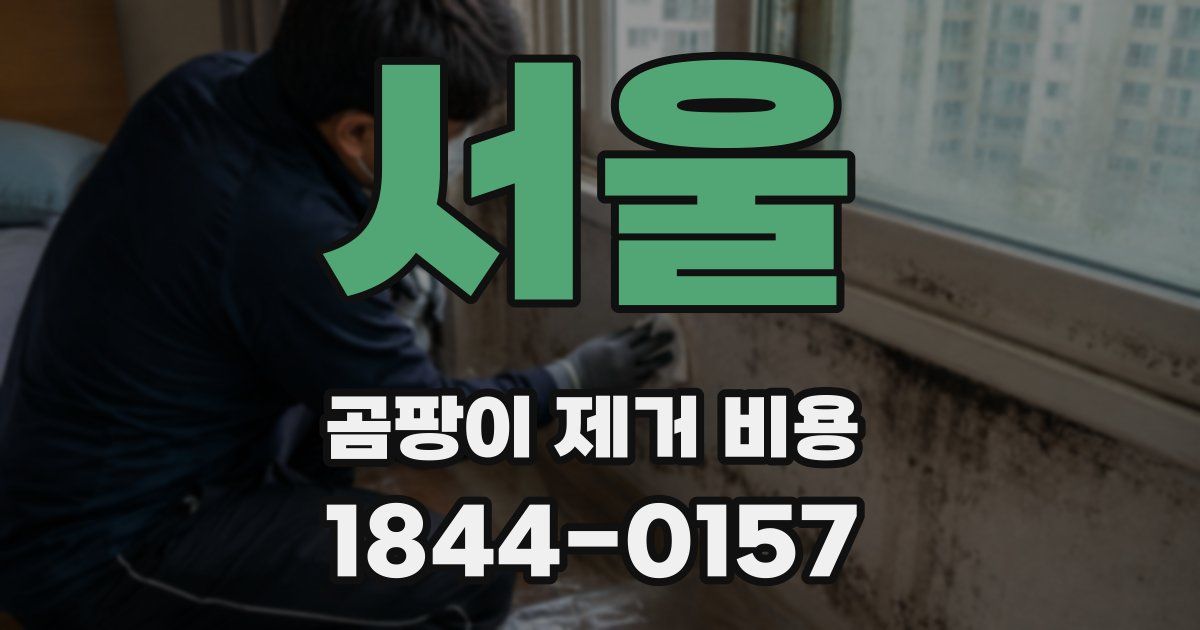 서울 곰팡이 제거 비용