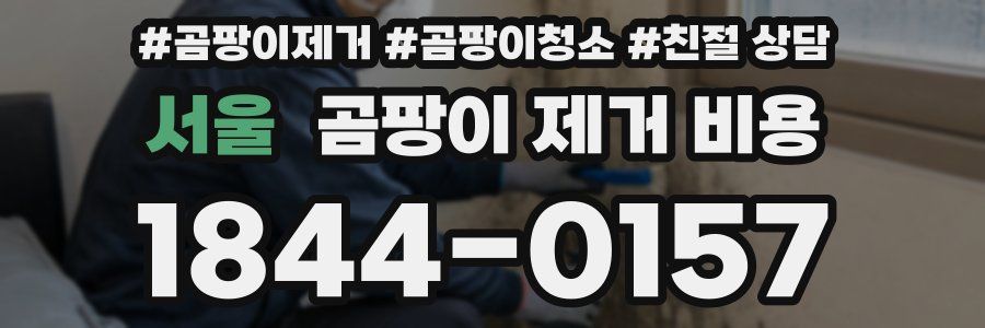 서울 곰팡이 제거 비용
