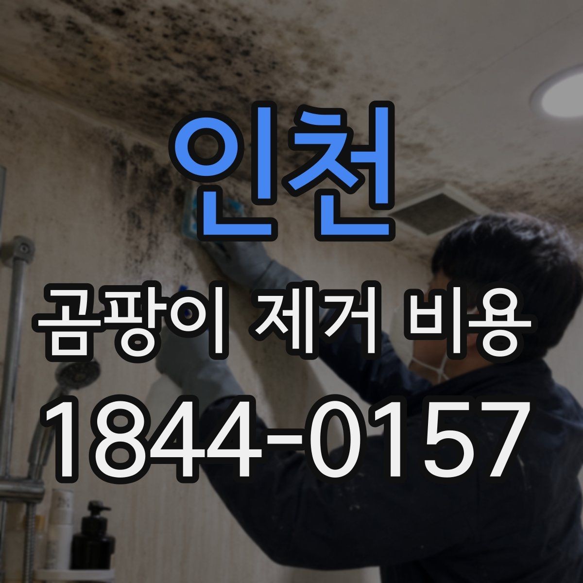 인천 곰팡이 제거 비용 산정에 자주 포함되는 보수 항목