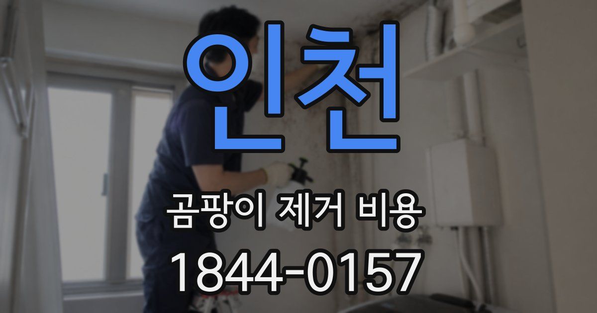 인천 곰팡이 제거 비용
