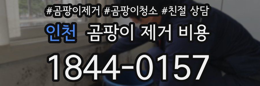 인천 곰팡이 제거 비용