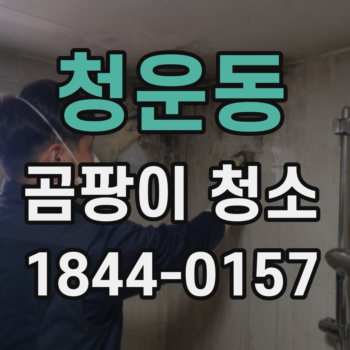 청운동 곰팡이 청소 과정에서 놓치기 쉬운 부분