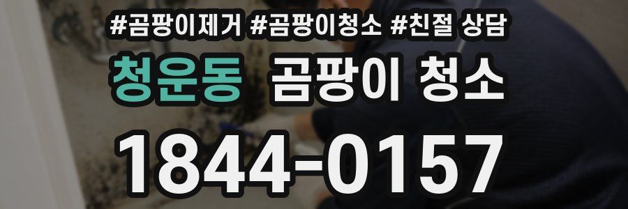 청운동 곰팡이 청소