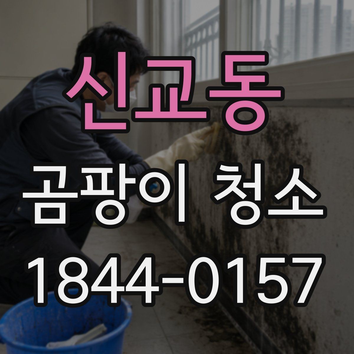 신교동 곰팡이 청소 비용 문의 시 많이 하는 실수
