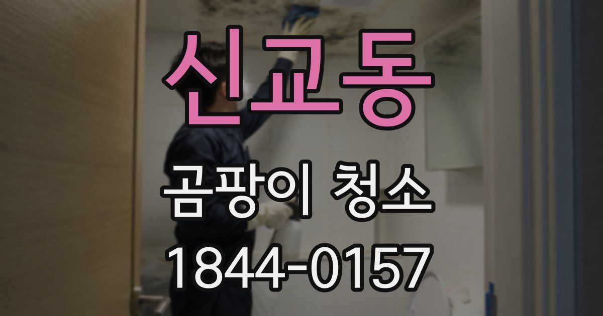 신교동 곰팡이 청소
