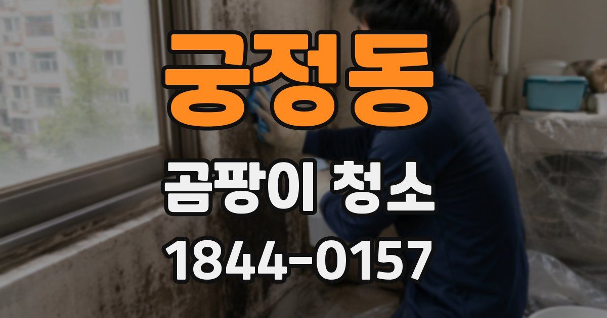 궁정동 곰팡이 청소