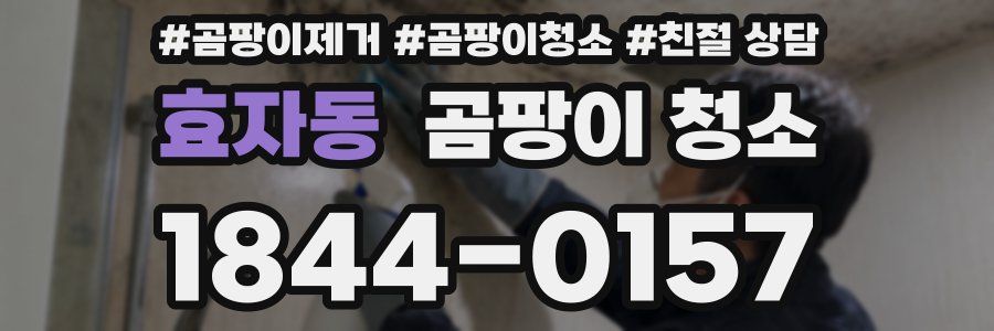 효자동 곰팡이 청소