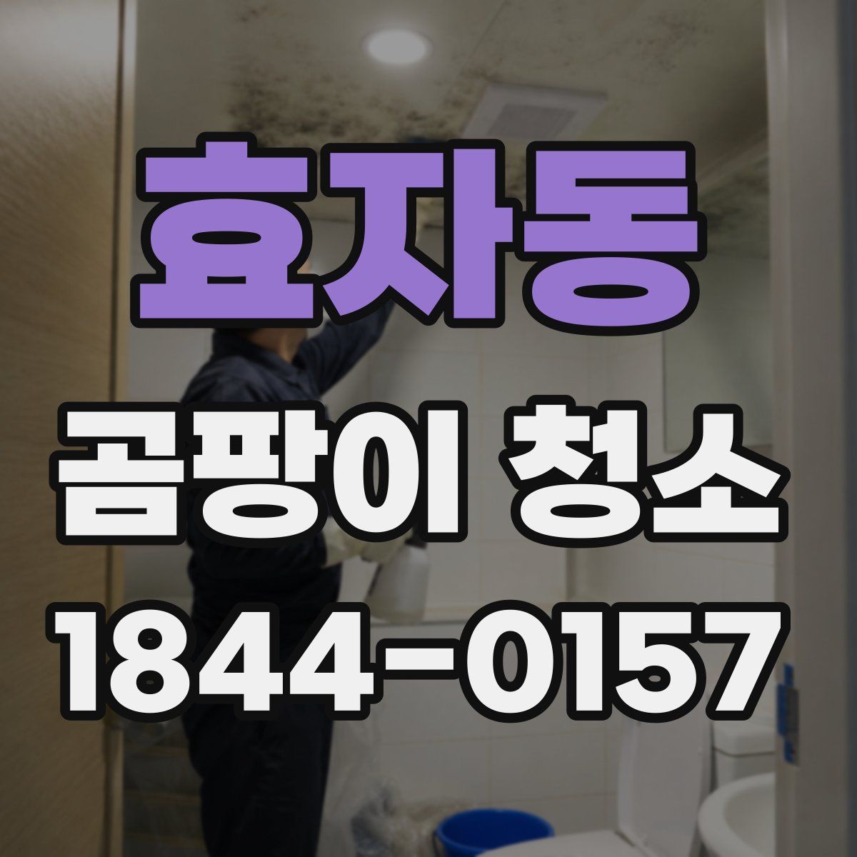 효자동 곰팡이 청소