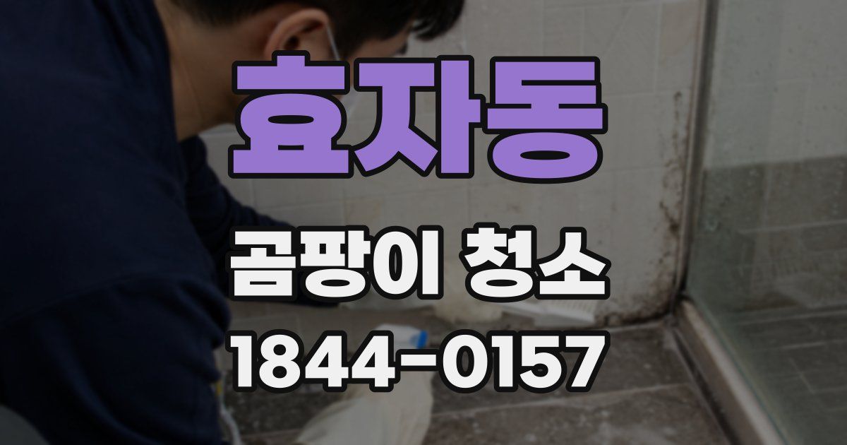 효자동 곰팡이 청소