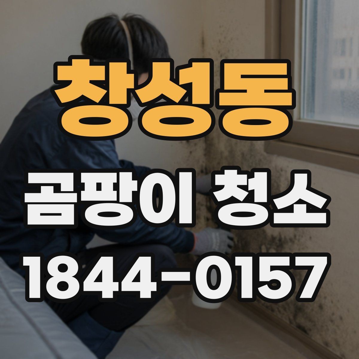 창성동 곰팡이 청소 비용과 범위, 어떻게 확인할까