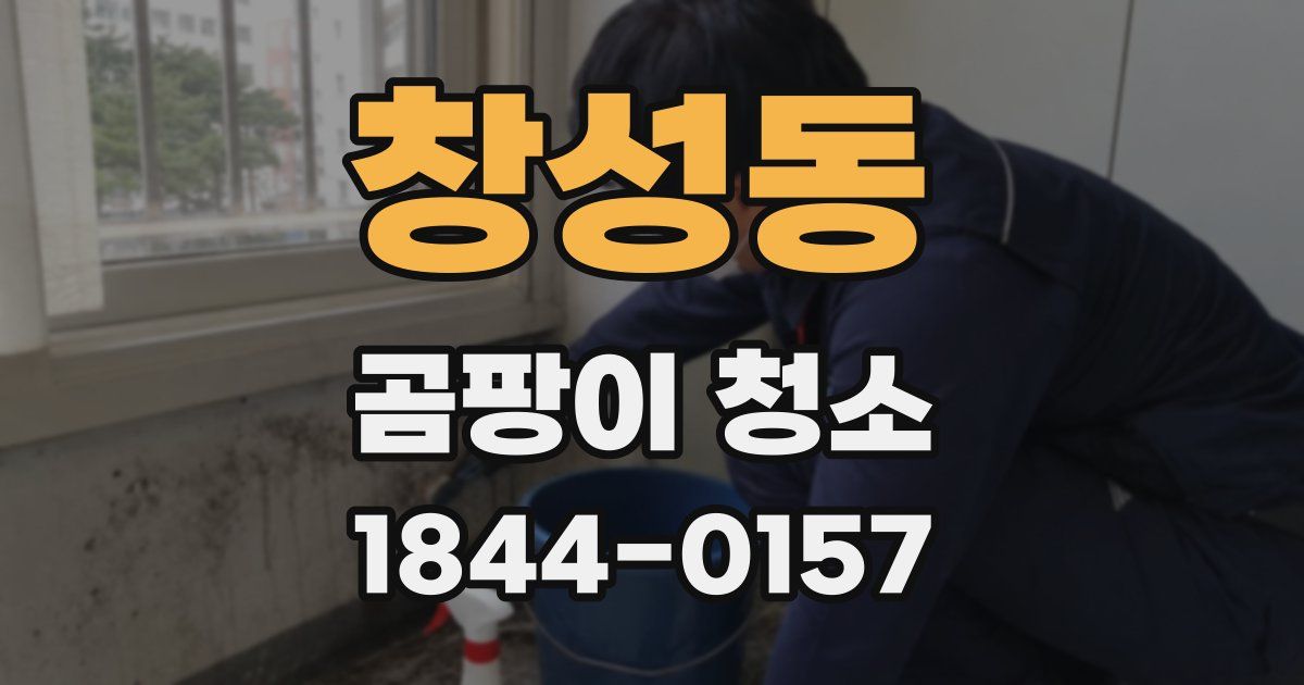 창성동 곰팡이 청소