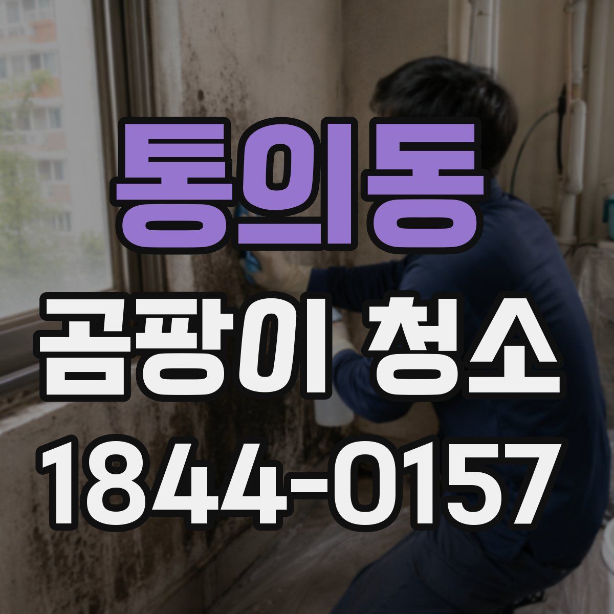 통의동 곰팡이 청소