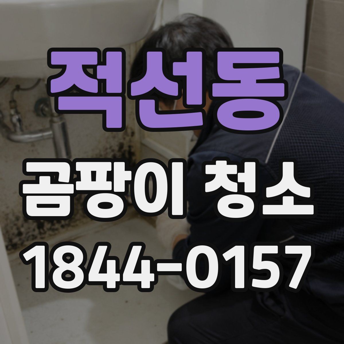 적선동 곰팡이 청소 업체별 서비스 비교 방법