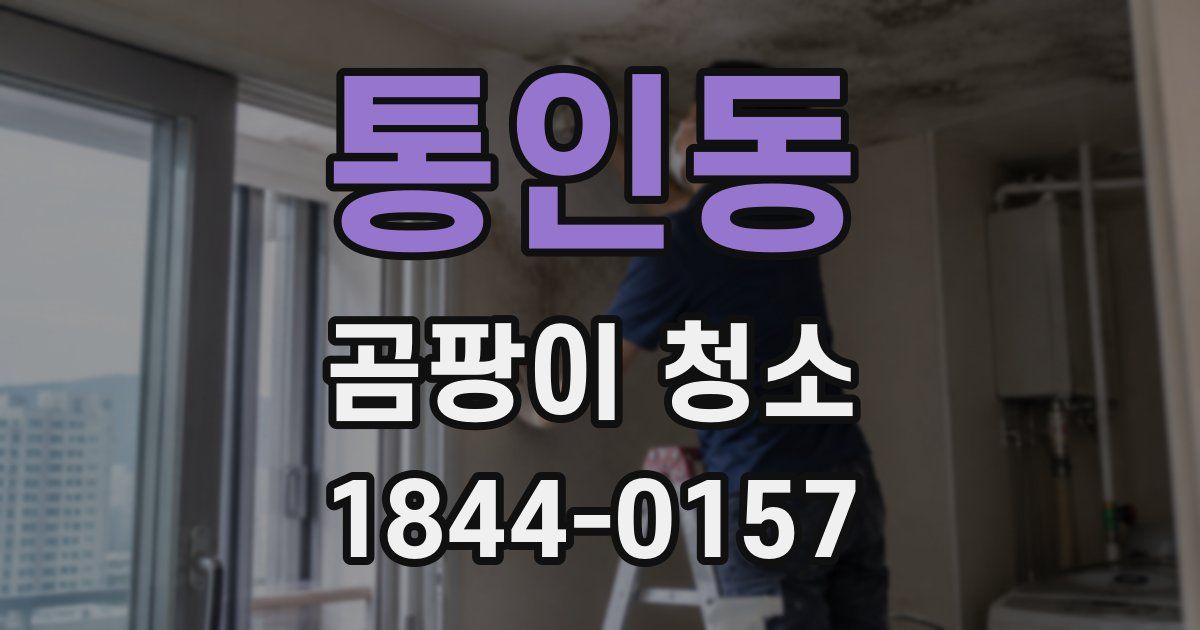 통인동 곰팡이 청소