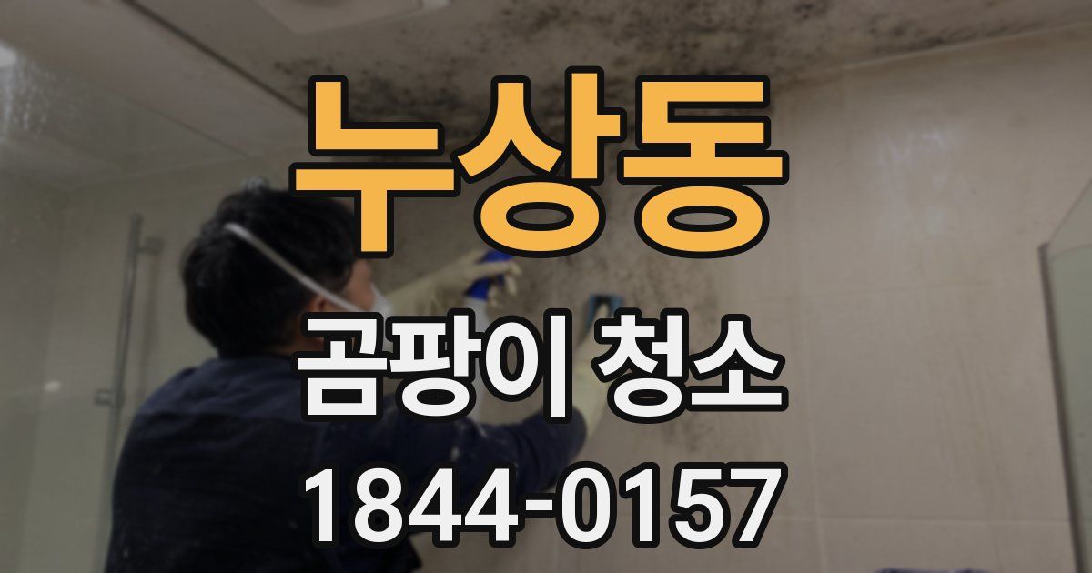누상동 곰팡이 청소
