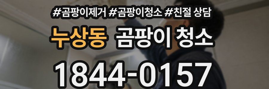 누상동 곰팡이 청소
