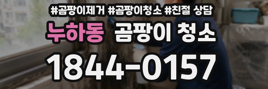 누하동 곰팡이 청소