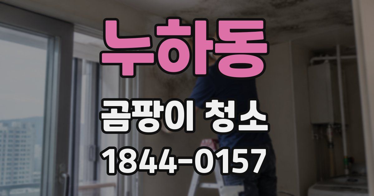 누하동 곰팡이 청소