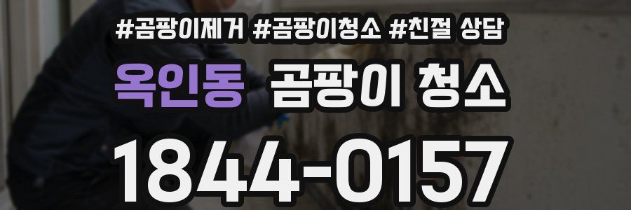옥인동 곰팡이 청소